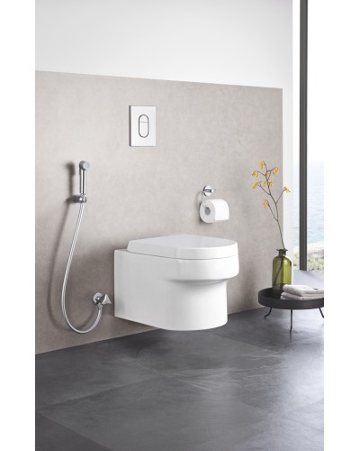 Гігієнічний душовий набір Grohe Tempesta-F Trigger Spray (27514001)