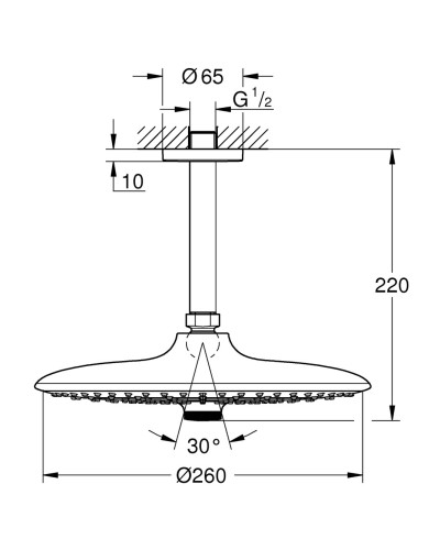 Верхній душ з стельовим кронштейном Grohe Euphoria (26461000)