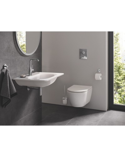 Туалетний йоржик у комплекті Grohe Essentials New (40374001)