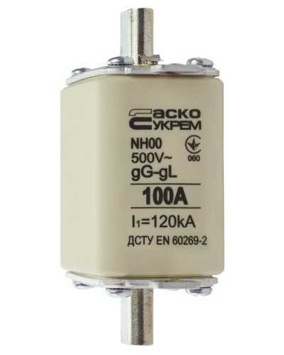 Запобіжник ножовий з плавкою вставкою NH00 100A gG