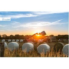 Гибкий торцевой ключ 5-12/270мм, НАБОР, HOME & GARAGE, DIY-SW10SET-E