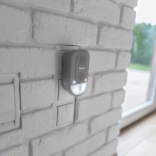 Отпугиватель электрический грызунов со светодиодной лампой. CTRL-ID302V