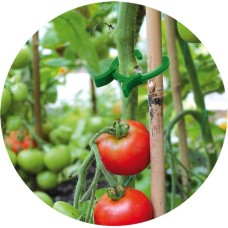 Зажимы для крепления растений. 3 размера – 45 шт. TYK19.