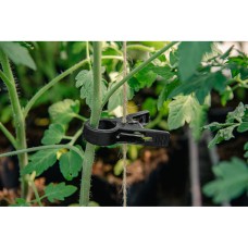 Зажимы для фиксации растений 20 мм, 10 шт., BLACK, TYK20BK/10