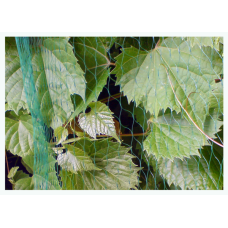 Сеть защитная. BIRD NET. 7 г/м². 5х10м. AS-BN71919510