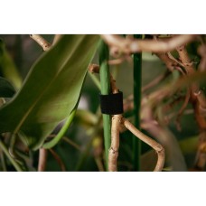 Многофункциональная лента, Т рулон на липучке, 19 мм х 5 м, черный, TYHLT19005/BK