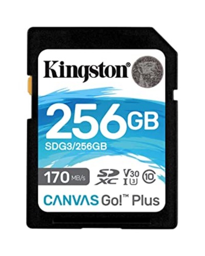 SDXC (UHS-1 U3) Kingston Canvas Go Plus 256Gb class 10 V30 (R170MB/s, W90MB/s) (SDG3/256GB)