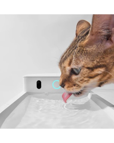 Поилка CATLINK AI Water Fountain - Wireless (6972884750873)