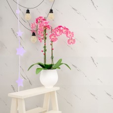 Самоклеящаяся стеновая PET плитка 600*300*2mm (D) SW-00001679