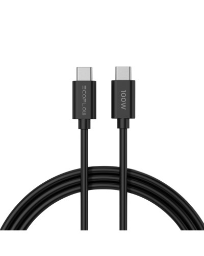 Зарядний пристрій EcoFLow RAPID Charger 65W