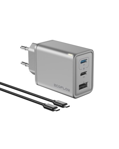 Зарядний пристрій EcoFLow RAPID Charger 65W