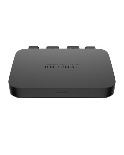 Автомобільна зарядна станція EcoFlow Alternator Charger