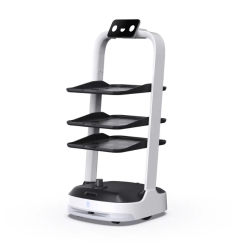 Роботи-доставки