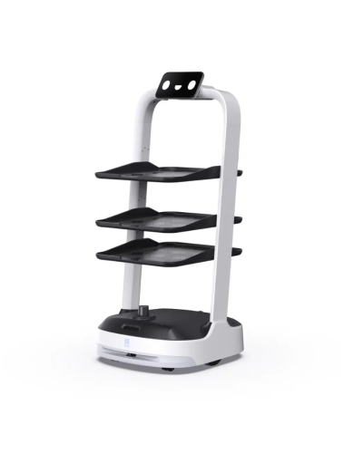 Робот PUDU PuduBot 2