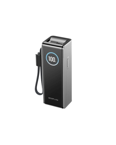 Павербанк EcoFlow RAPID Power Bank з кабелями 25000mAh сріблястий