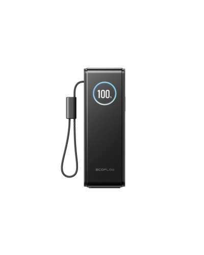 Павербанк EcoFlow RAPID Power Bank з кабелями 25000mAh чорний