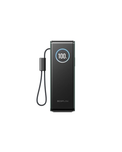 Павербанк EcoFlow RAPID Power Bank з кабелями 25000mAh зелений