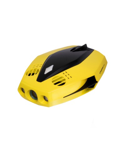 CHASING Dory with backpack