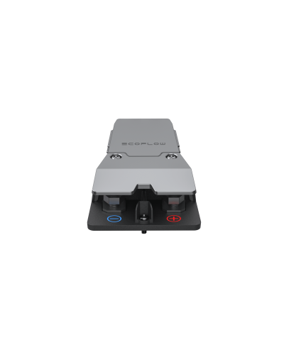 Адаптер LFP Battery Polarity Adapter