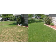 Бензиновый аэратор HECHT 5676 2 in 1