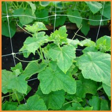 Сетка  15*18см  1.70 м ширина шпалерная для огурцов