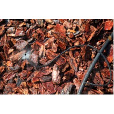 Микроджет Presto-PS капельница для полива Зонтик 360°, в упаковке – 50 шт. (AS-M68)