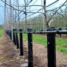 Кольцо подвесное Presto-PS крючок для трубки 16 мм, в упаковке – 100 шт. (HC-0116)