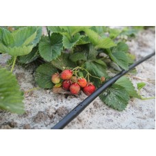 Капельная многолетняя трубка Presto-PS с капельницами через 20 см, длина 200 м (MCL-20-200)