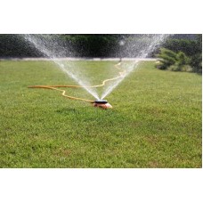 Дождеватель Presto-PS ороситель многофункциональный Божья коровка (8112)