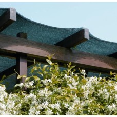 Затеняющая сетка 90% 3*50 м