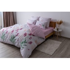 Комплект постельного белья ТЕП "Soft dreams" 338 Aurora, 70x70 семейный