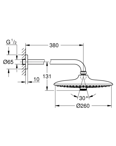 Верхний душ с настенным кронштейном Grohe Euphoria (26458000)