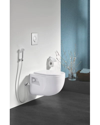 Гигиенический душевой набор Grohe Tempesta-F Trigger Spray (27513001)