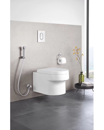 Гигиенический душевой набор Grohe Tempesta-F Trigger Spray (27513001)