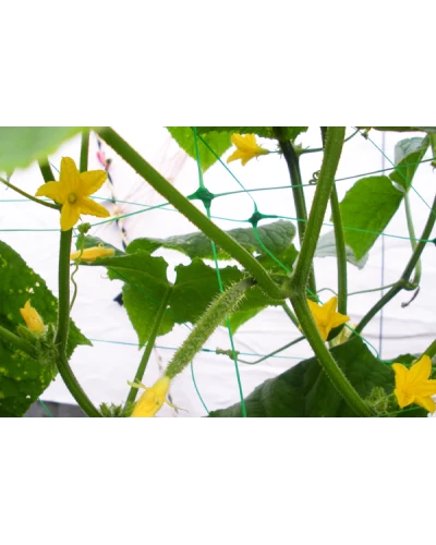 Сеть обойная PLANT NET. 8 г/м². 15x17см. 1.7x100м. AS-CN08151717100