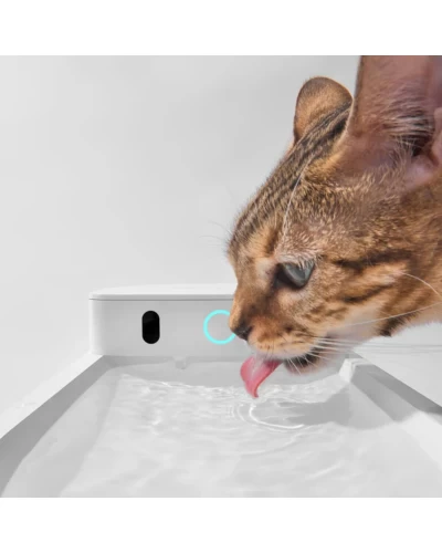 Поїлка CATLINK AI Water Fountain - Wireless (6972884750873)