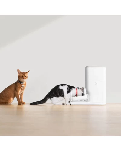 Смарт кормушка CATLINK Automatic Feeder Fresh 2 - Luxury (6972884750958)