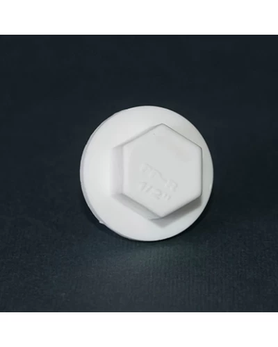 Заглушка PPR Tebo 3/4"Н белая