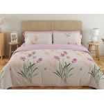 Комплект постільної білизни ТЕП "Soft dreams" 338 Aurora, 70x70